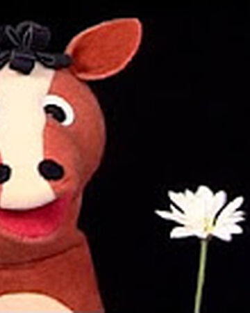 Neighton The Horse The True Baby Einstein Wiki Fandom