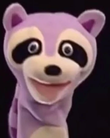 Raccoon The True Baby Einstein Wiki Fandom