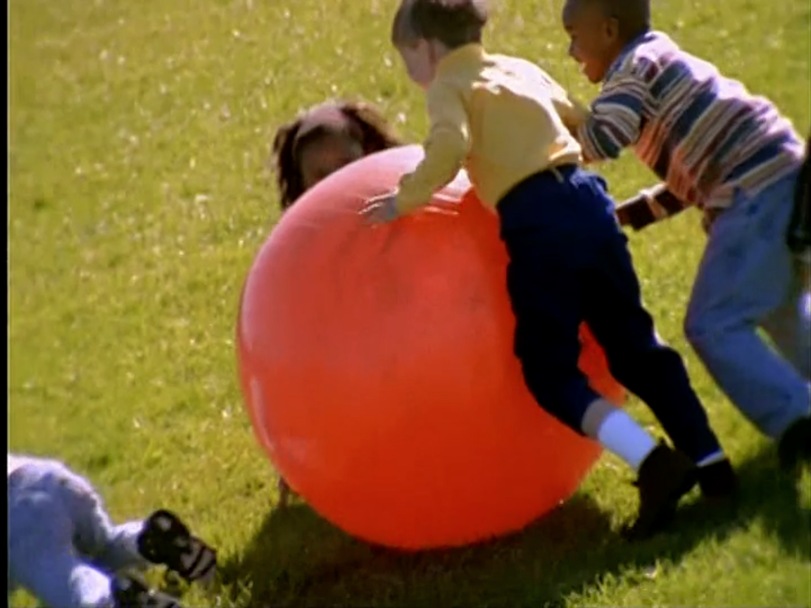 Exercise Ball The True Baby Einstein Wiki Fandom