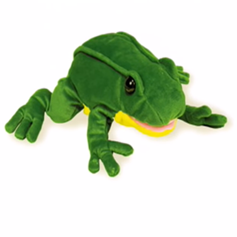 Frog (Baby Webster), The True Baby Einstein Wiki