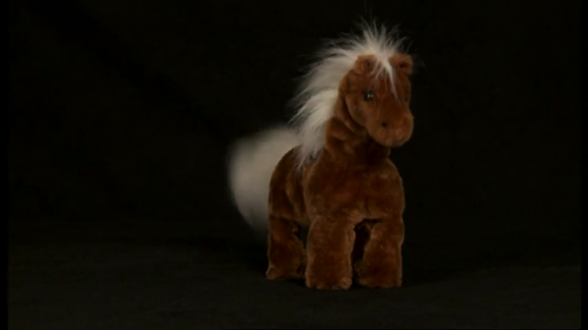 Sundance the Playful Pony, The True Baby Einstein Wiki