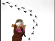 Looking at Birds footprints