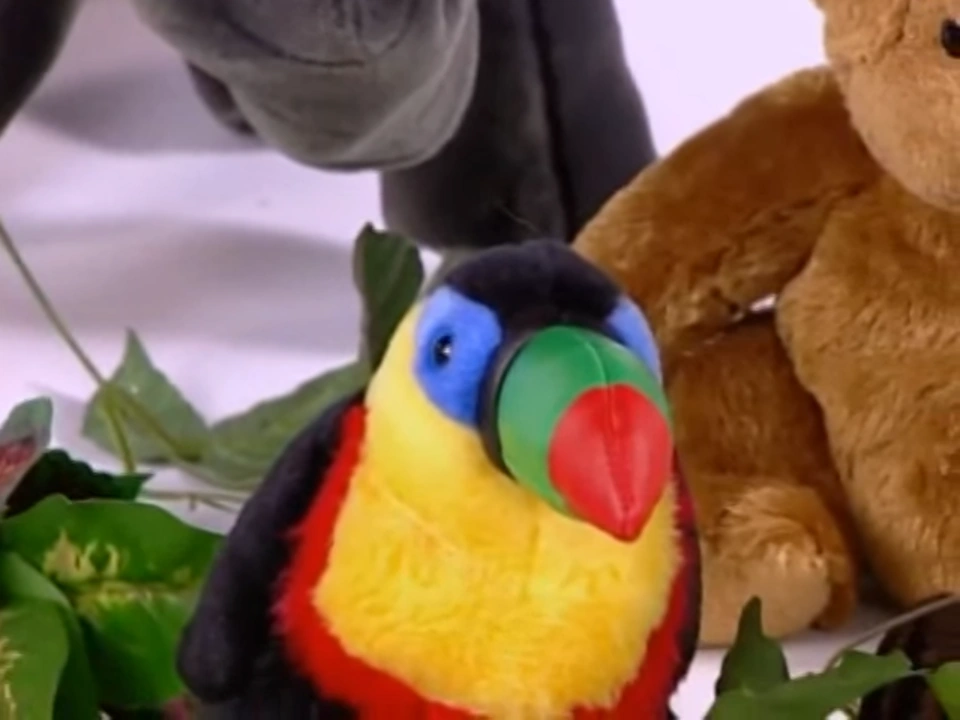 Category:Toucans | The True Baby Einstein Wiki | Fandom