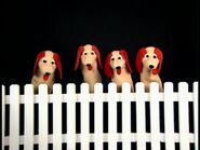 Neighborhood Animals.Numbers Nursery 1