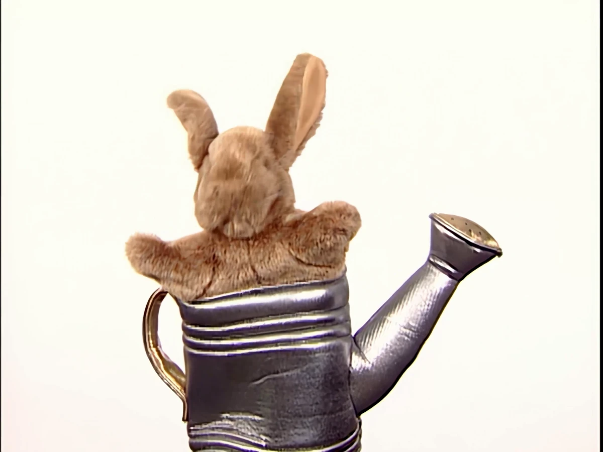 Rabbit in Watering Can Puppet The True Baby Einstein Wiki Fandom