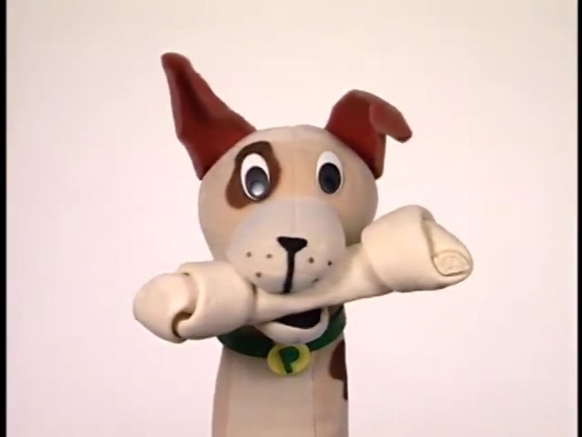 Petco dog bone on sale