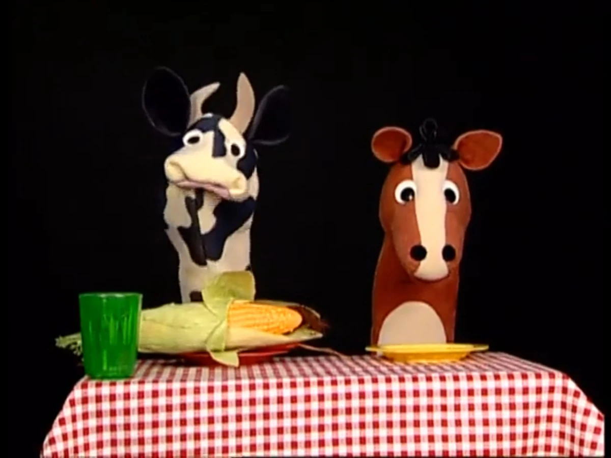 Harvest Home Hornpipe The True Baby Einstein Wiki Fandom