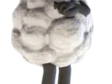 Wooly the Sheep