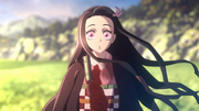 Nezuko Close Contender
