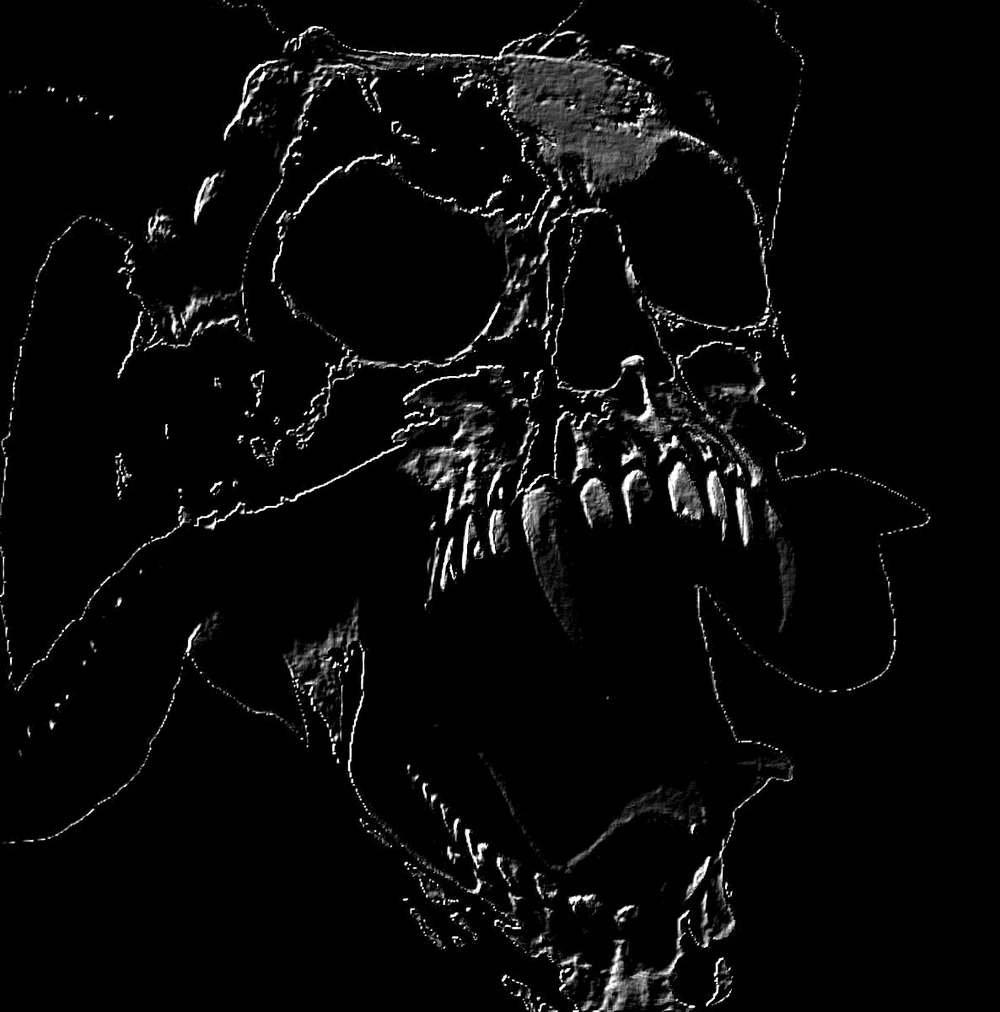 予約販売-10月発送分】THE SKULL DISK NATURE TONES x DAMNGOOD