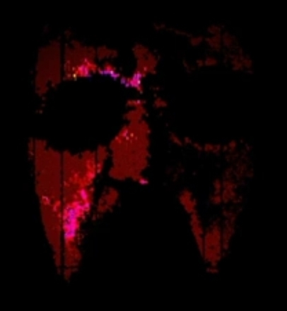 Phase 181 (Verstörend Studios) | The Uncanny Incredible Wiki