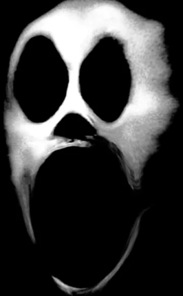 【超貴重】TERROR FIN 5FINSET CARBON FUTURE e*thirteen components XCX Race Carbon Boost Trail Wheel