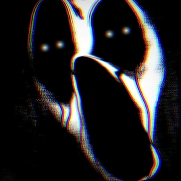 【超貴重】TERROR FIN 5FINSET CARBON FUTURE 超貴重】TERROR FIN 5FINSET CARBON FUTURE