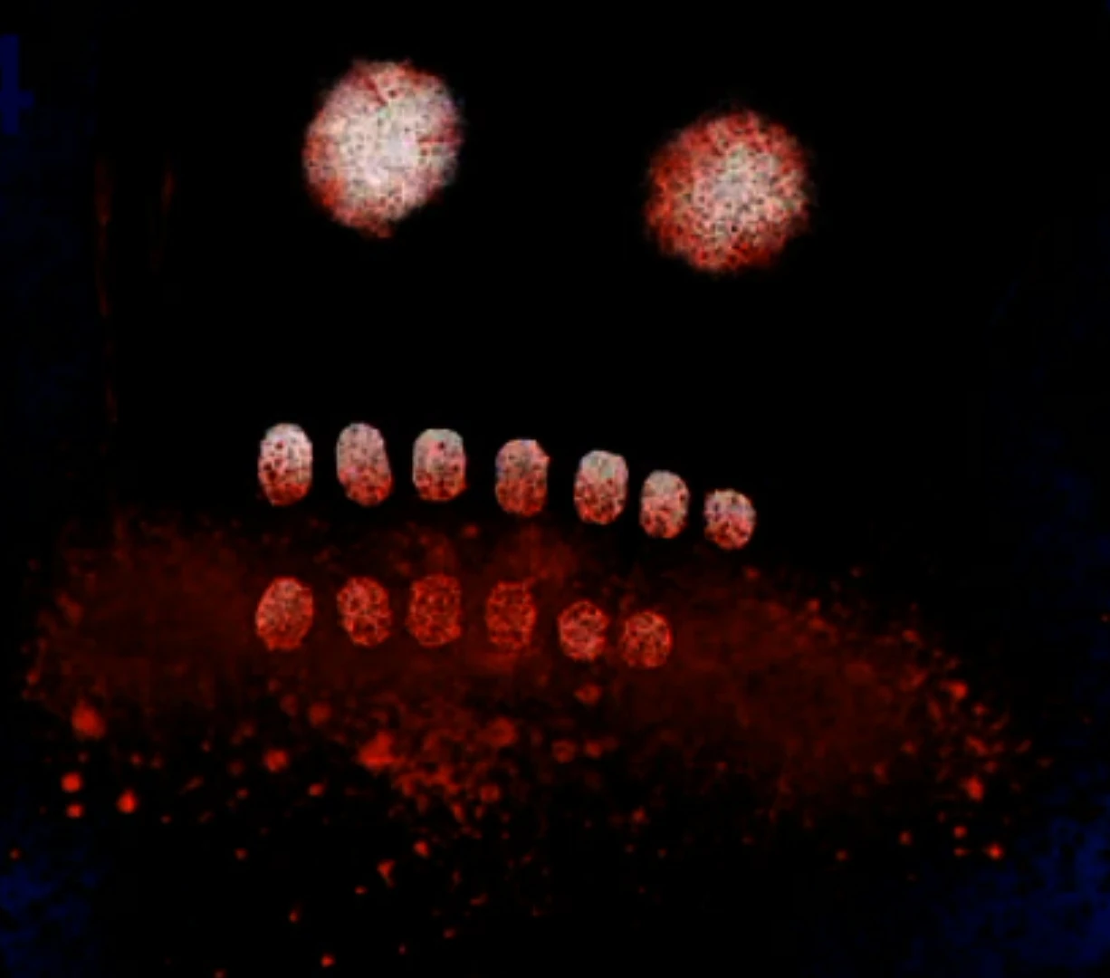 Phase 474 (Stist)/Phase 1134 (ZanskuyAE) | The Uncanny