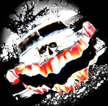 【超貴重】TERROR FIN 5FINSET CARBON FUTURE 超貴重】TERROR FIN 5FINSET CARBON FUTURE