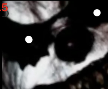 Phase 155 (Stist)/Phase 738 (Gatozerounvalley) | The Uncanny
