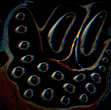 恐れからの解放 450?cb=20240509005851