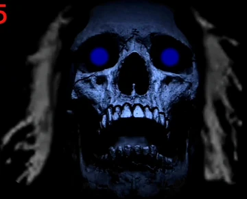 THE SKULL DISK NATURE TONES × DAMNGOOD Nowe produkty