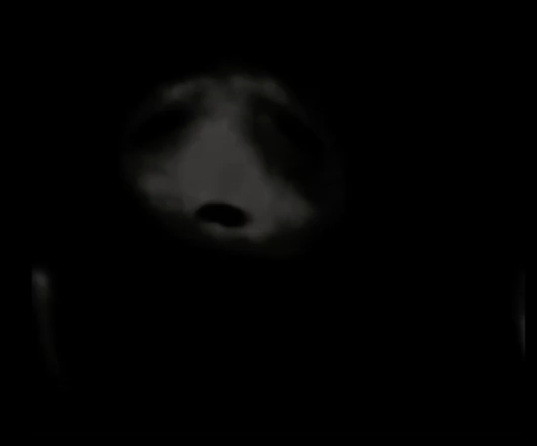 Phase 218 (Stist)/Phase 796 (Gatozerounvalley) | The Uncanny Phase 218 (Stist)/Phase 796 (Gatozerounvalley) | The Uncanny