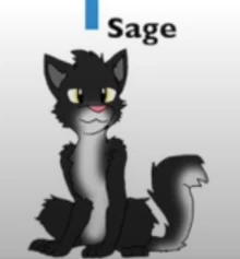 Sage | The Unknown Flame Wikia | Fandom