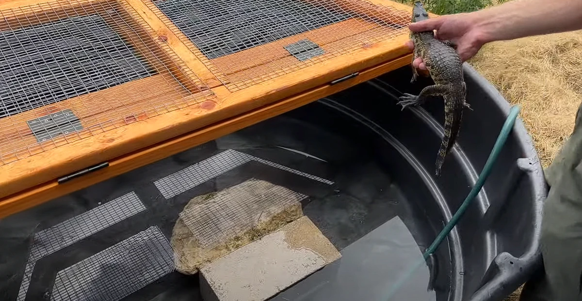 Gustavo Fring's Enclosure The Urban Rescue Ranch Wiki Fandom