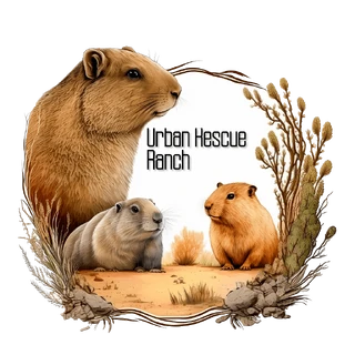 The Urban Rescue Ranch Wiki