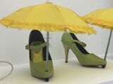 Shoe umbrellas
