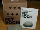 Pet rocks