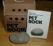 Pet Rock - Wikipedia