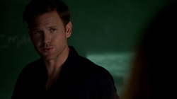 ✧Alaric Saltzman; icons✧  Vampire diaries, The vampire diaries