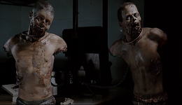 MichonnesPetWalkers (Mike&Terry).png