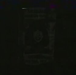 Rosemary missing poster.jpg