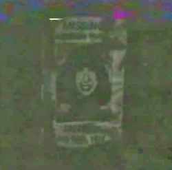 Rosemary Missing Poster Bright.png