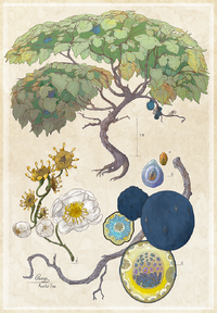 Blue Fruit Tree by Enuryn