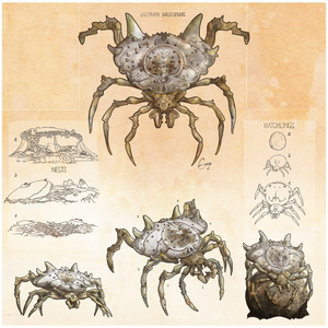 Shield Spider, by Enuryn the [Naturalist]