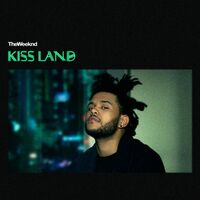 Kiss Land (2013)