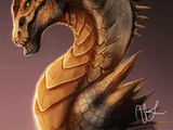 Bronze dragon