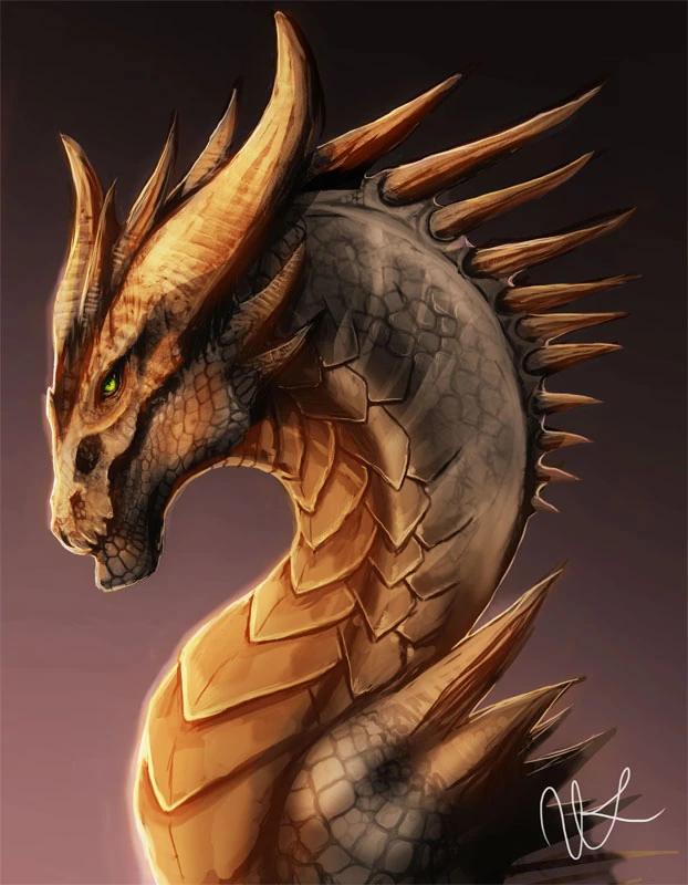 Bronze dragon The Witcher Fanon Wikia Fandom