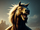 Werehorse
