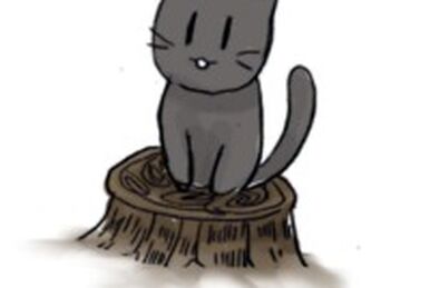 BLACK CAT 複製原画 Amazon.co.jp: 矢吹健太朗BLACKCATブラックキャット 複製原画
