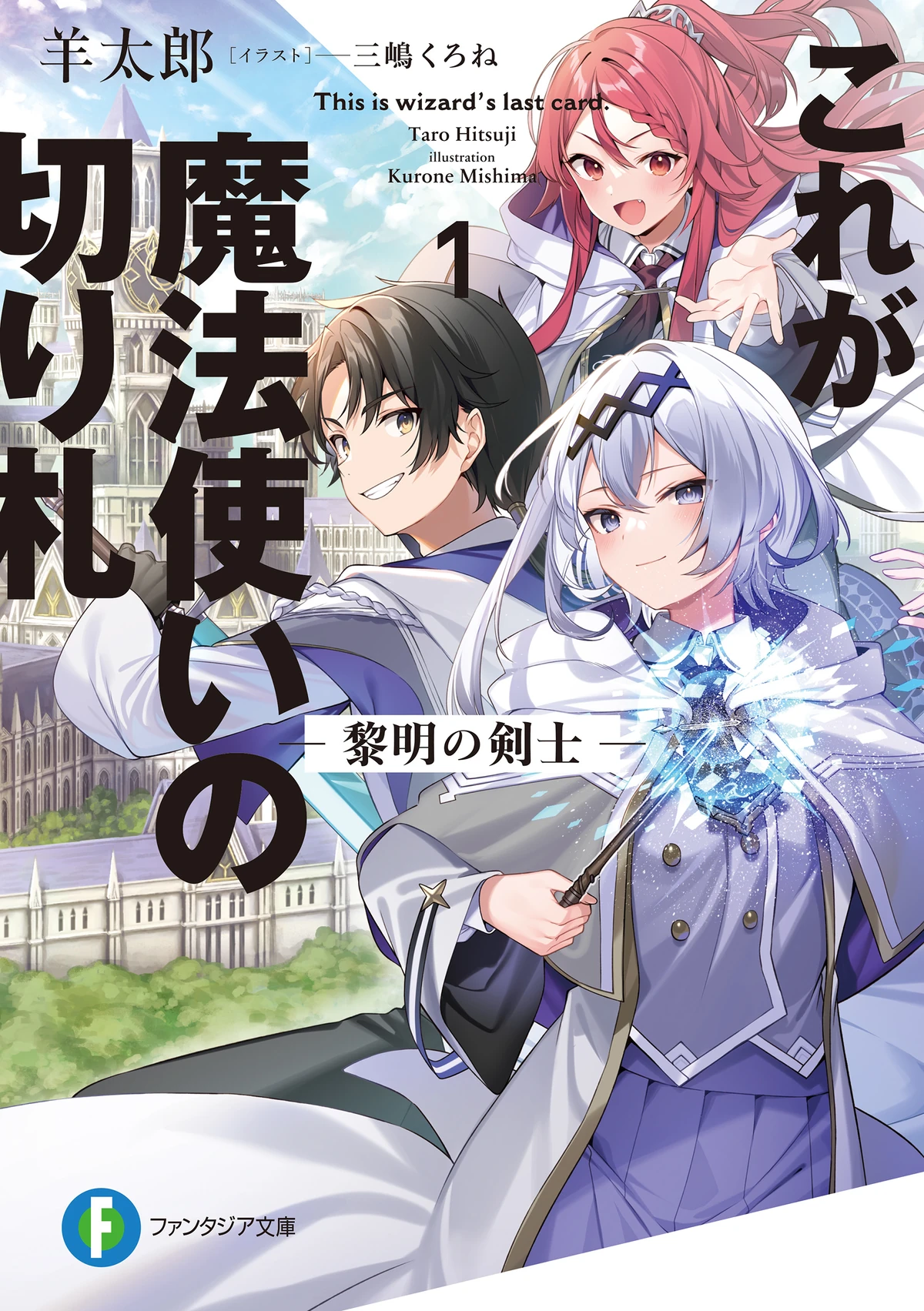 Light Novel | This is Wizard's Last Card Wiki | Fandom