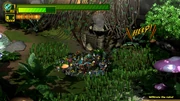 009 Wonder-Beetle location