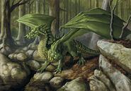 An Elder Emerald Dragon, its color lost because of age.