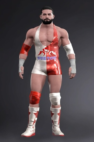 Ryan Burton RLS CAS The WWE 2K Wrestling Universe Wiki Fandom