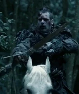 Unbekannter Krieger †