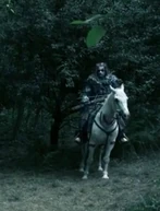 Unbekannter Krieger †