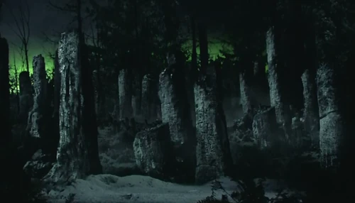 Verbrannte Bäume durch temporale Störung