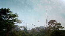 The100204 2083.jpg