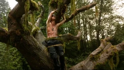 Wir sind nicht allein 27