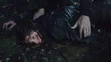The100210 1311.jpg